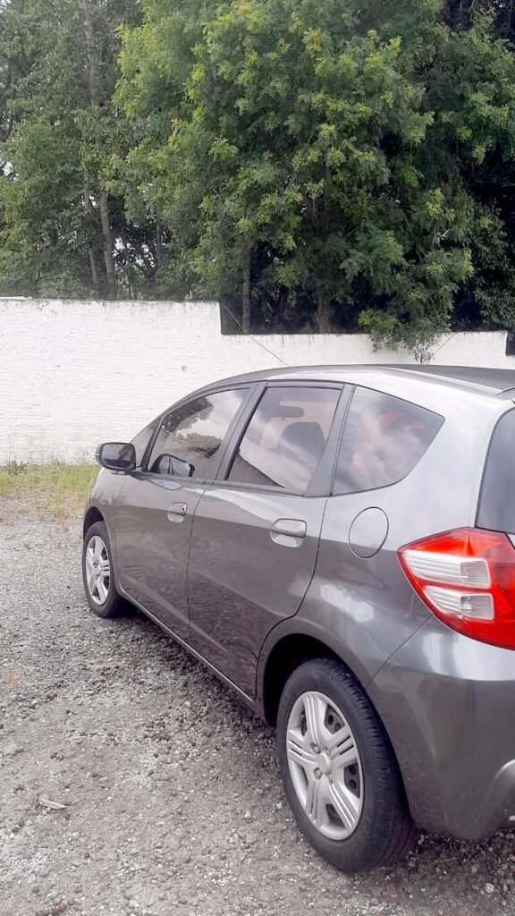 🔥 FIT DX 1.4 FLEX 2013 🔥